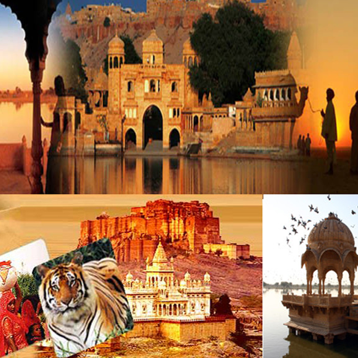 Joint Surgeon in jaipur